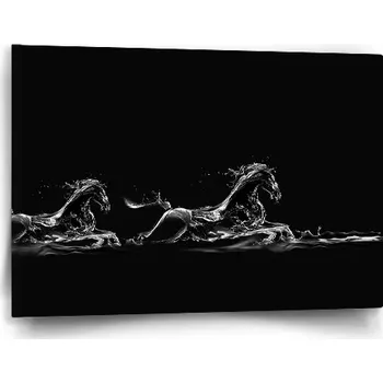 Obraz Sablio Obraz Vodní kůň - 60x40 cm