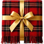 Pléd s třásňemi Dora 150 x 200 cm…