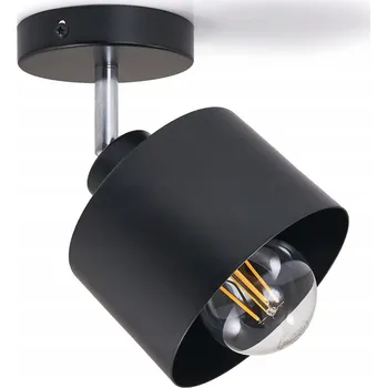 Nástěnné svítidlo Nástěnné svítidlo Masterled černé industriální 1xE27 35 W