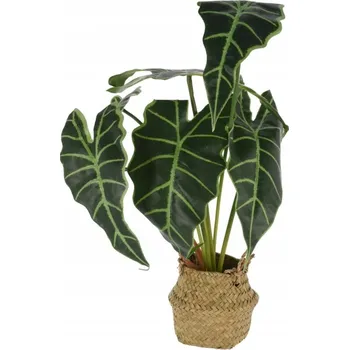 umělá květina Umělý květ květina v květináči ALOKÁZIE okrasná 51 cm
