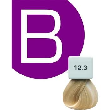 Barva na vlasy Berrywell barva na vlasy 12.3 61 ml