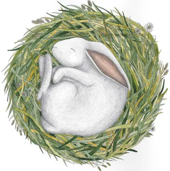 Ellastration Přáníčko Zajíc