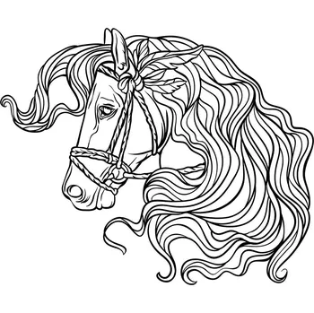 KŮŇ II. / 25x20 cm (Samolepicí šablona na pískování)