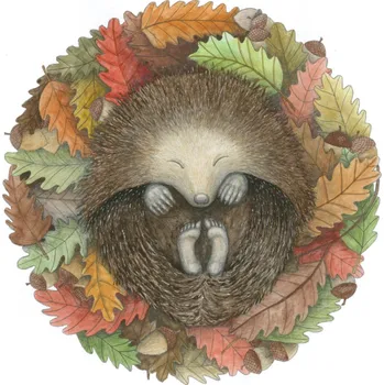 Ellastration Přáníčko Ježek