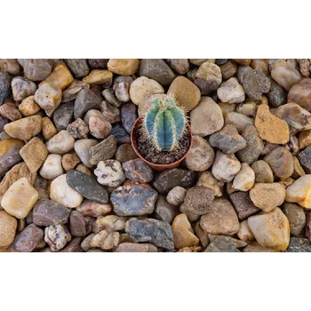 Tuhé palivo Kačírek, hrubá frakce 16-32 mm, 400 kg