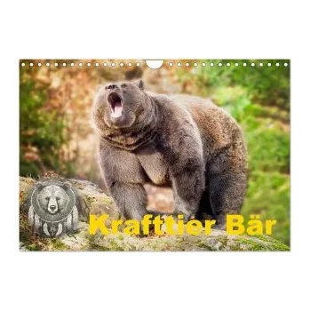 Cestování Krafttier Bär (Wandkalender 2026 DIN A4 quer), CALVENDO Monatskalender (DE)