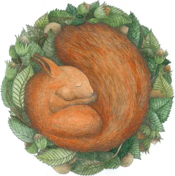 Ellastration Přáníčko Veverka