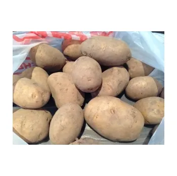 Malé brambory na pečení Lady Claire - typ C, min. 6 kg