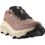 Salomon Ultra Flow 2 GTX W L47884500 - burlwood/tender peach/warm apricot 36