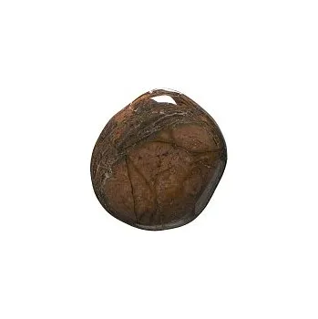 Drahý kámen Ryolit, tromlovaná placička 43 mm