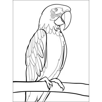 ARA / 20x15 cm (Samolepicí šablona na pískování)