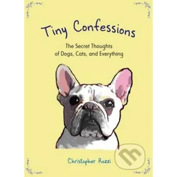Tiny Confessions - Christopher Rozzi Perigee