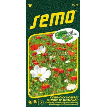 Semeno Jahody se šlehačkou (květinový koberec, směs letniček) 12/2027