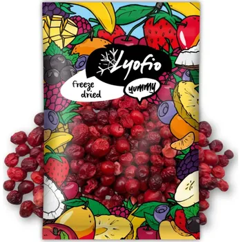 Sušené ovoce Lyofio Brusinka 60 g