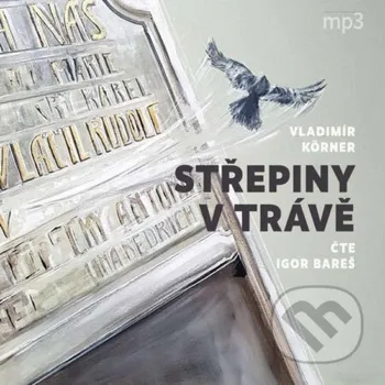 Střepiny v trávě - Vladimír Körner Tebenas