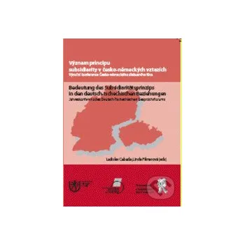 Kniha Význam pricipu subsidiarity - Ladislav Cabada Aleš Čeněk
