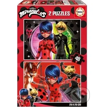 Kouzelná Beruška a Černý kocour - Educa Educa