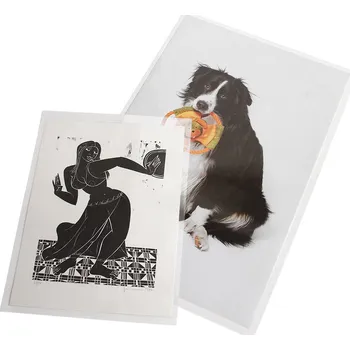 Obal pro sběratelský předmět Safe Obaly pro formát A2 Velikost balení: 1 ks