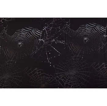 Teplákovina French Terry v černé barvě s digitálním potiskem pavučin AP-D-22754