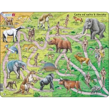 Puzzle Cesta od opice k človeku (HL3) - Larsen Larsen