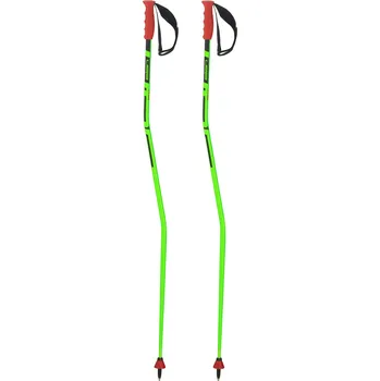 Sjezdová hůlka ELAN RACEROD RCG JR Barva: Zelená, Velikost: 95