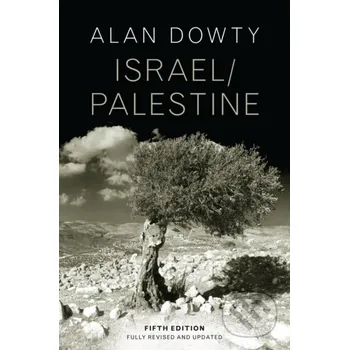 Israel / Palestine - Alan Dowty Polity Press