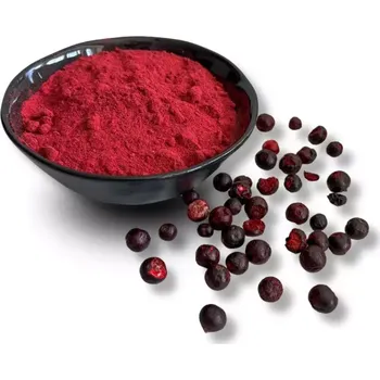 Sušená potravina BIO český černý rybíz lyofilizovaný - prášek, 25 g