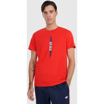 Pánské tričko Pánské tričko s potiskem 4F 4FRAW25TTSHM3225-62S s