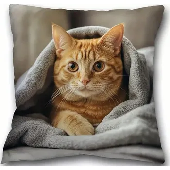 Polštář Polštář s náplní KOČKA v dece