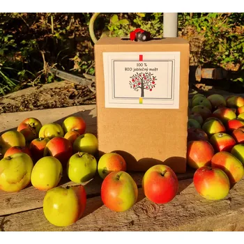 BIO jablečný mošt, 5 l