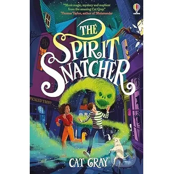 The Spirit Snatcher - Cat Gray Usborne