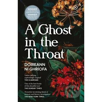 Literární biografie A Ghost In The Throat - Doireann Ni Ghriofa