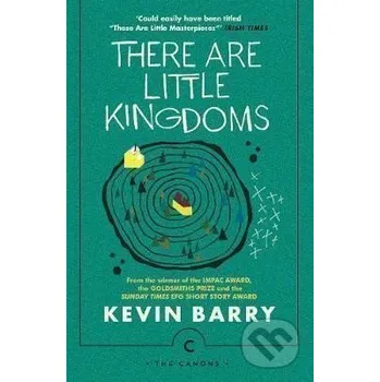 Beletrie pro dospělé There Are Little Kingdoms - Kevin Barry Canongate Books