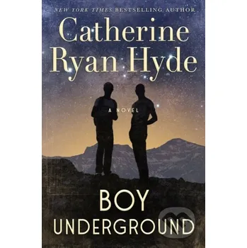Boy Underground - Catherine Ryan Hyde Lake Union Publishing