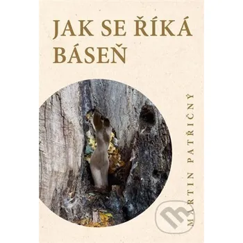 Kniha Jak se říká báseň - Martin Patřičný Jonathan Livingston