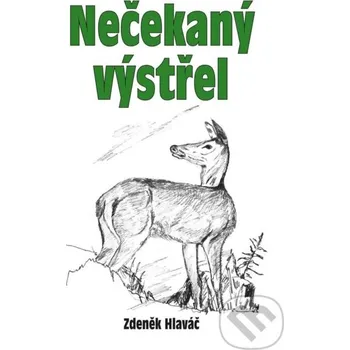 Kniha Nečekaný výstřel - Zdeněk Hlaváč Akcent
