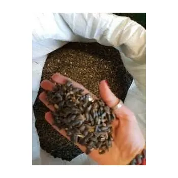 Krmivo pro ptáka Slunečnice černá krmivo krmivo pro ptáky 20 kg zrní do krmítka + 3 koule na zimu