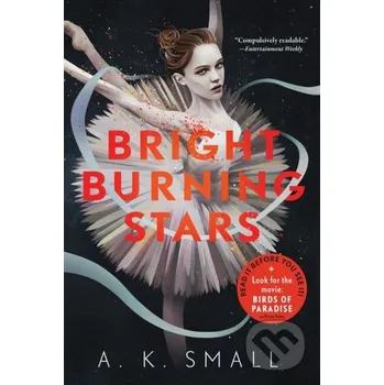 Bright Burning Stars - A.K. Small