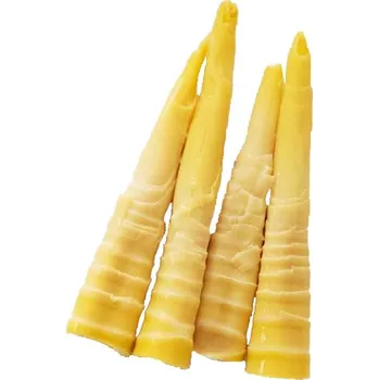 Koření Bambusové výhonky ve vodě 250 g - Lotus