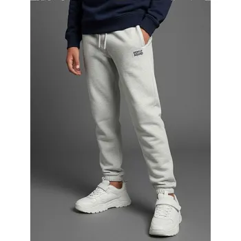 Chlapecké kalhoty Sinsay - Volné kalhoty - šedá - 599DW-09M - 599DW-09M-152