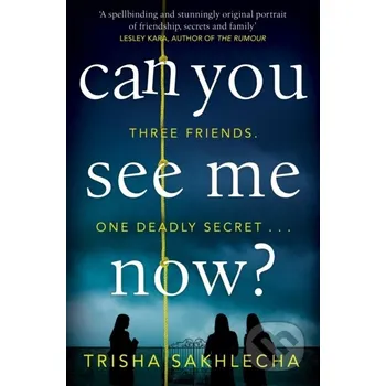 Can You See Me Now? - Trisha Sakhlecha Pan Books