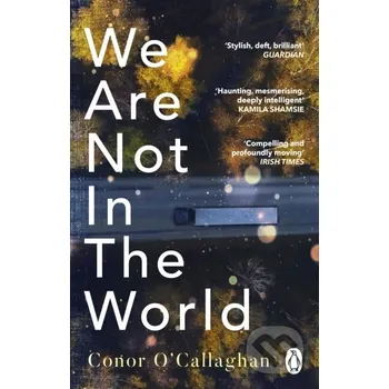 We Are Not in the World - Conor O'callaghan Transworld
