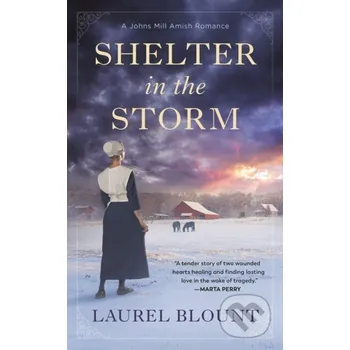 Shelter in the Storm - Laurel Blount