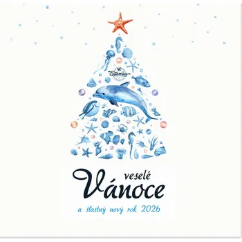 Dárková taška Dárková karta - Vánoce