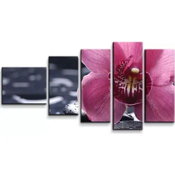 Obraz Sablio Obraz - 5-dílný Orchidej - 100x60 cm
