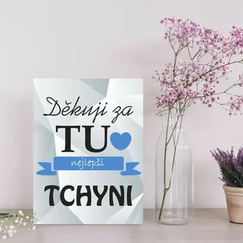 Plechová cedule Sablio Dárková cedulka Děkuji za tu nejlepší tchyni: 30x40 cm
