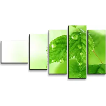 Obraz Sablio Obraz - 5-dílný Listy 3 - 100x60 cm