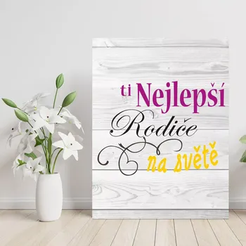 Plechová cedule Sablio Dárková cedulka Ti nejlepší rodiče na světě: 30x40 cm