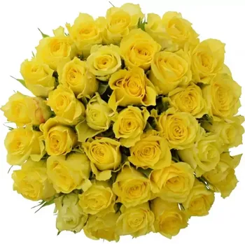 umělá květina Kytice 35 žlutých růží GOLDEN TOWER 50 cm