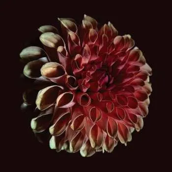 Zahraniční hudba LP Jessica Moss: Unfolding (180g)